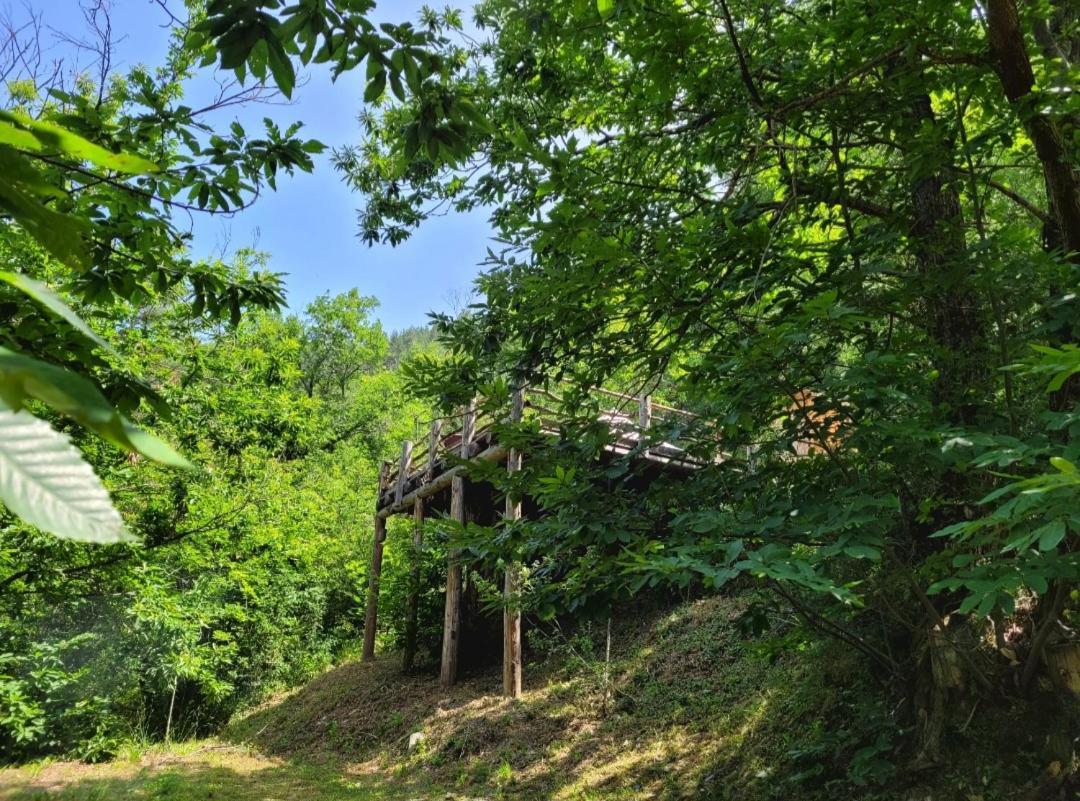 Loz'Aire Naturelle Quezac  Exterior foto