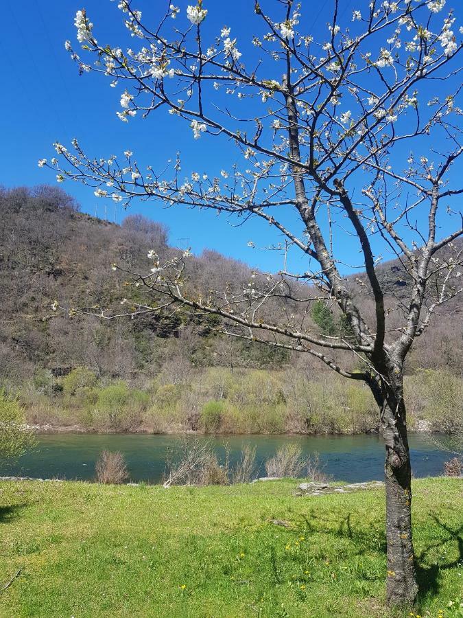 Loz'Aire Naturelle Quezac  Exterior foto